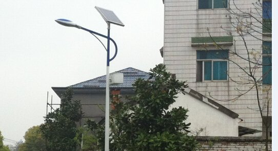 零口新村太陽能路燈實景案例